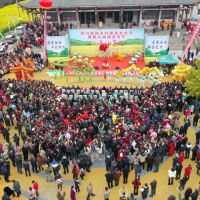 南部县2024年乡村旅游文化节暨第五届油菜花节在西水镇香柱山开幕 ... ...