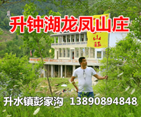 网站广告.jpg