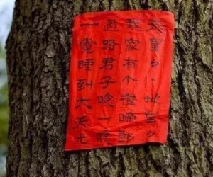 升钟湖民谣（一）
