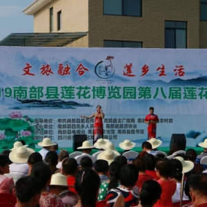 南部县举办第八届莲花节