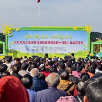 西水镇第六届油菜花季盛大启幕 农文旅融合绘就乡村振兴新画卷 ... ... ...